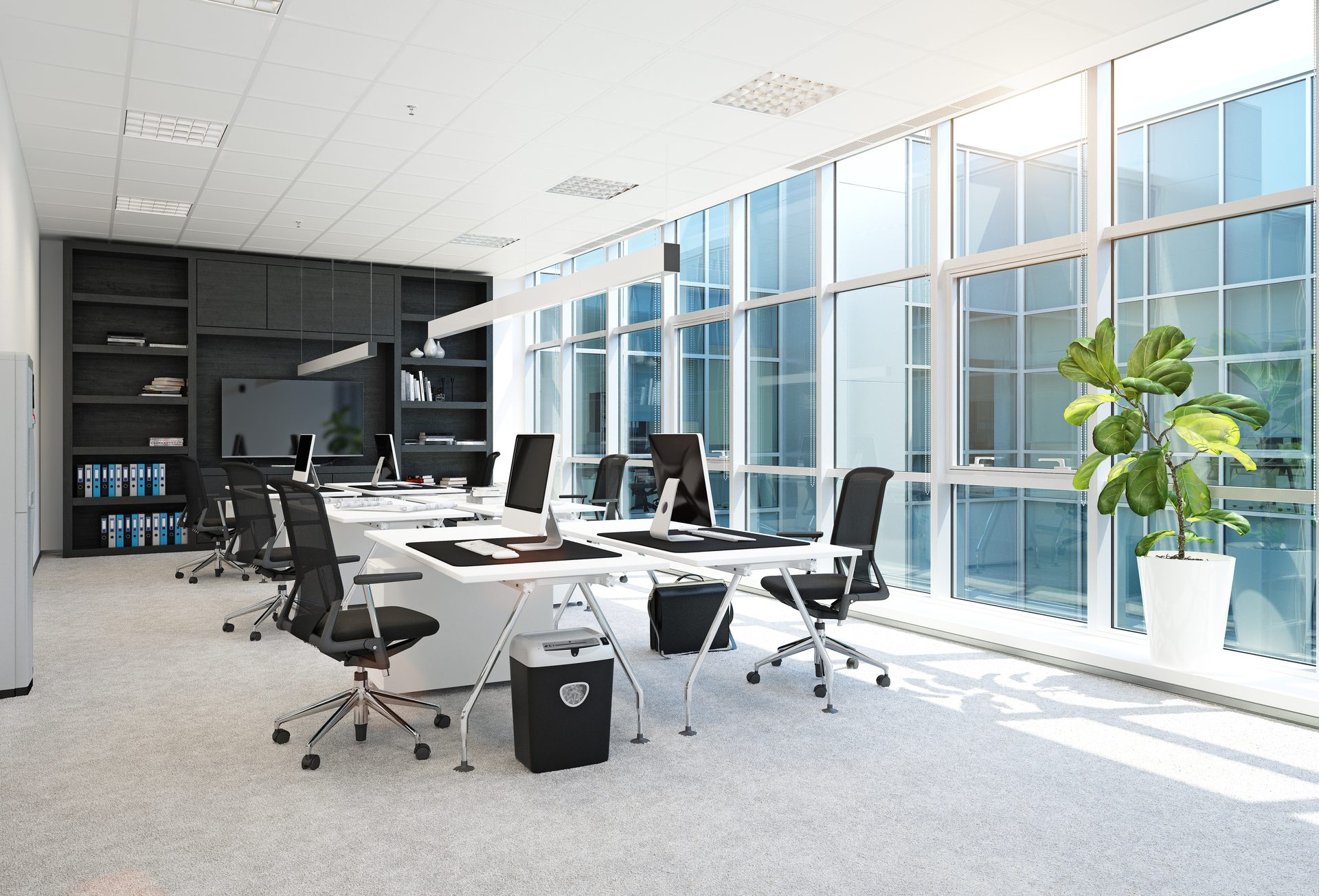 A bright open-plan office with white desks, black mesh chairs, a potted plant and floor-to-ceiling windows